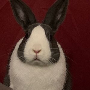 Meet your Posher, Raul